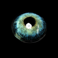 08e94881e27c5df732022db5316c9bc1.png