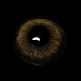 3902cb5093c1ef0c312cf3af790cd452.png
