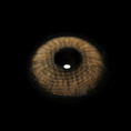 5001614545d580b003a9f5cb4aaf8914.png