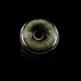 59e2903daf37d755b7637dbef324bdc2.png