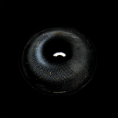 695ebbdc5979db4895ce2e531396db8c.png