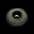 BR000118_1.png