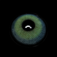 BR000239_3.png