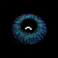 BR000695_3.png