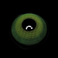 BR000734R_2.png