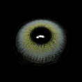 BR002751R_1.png