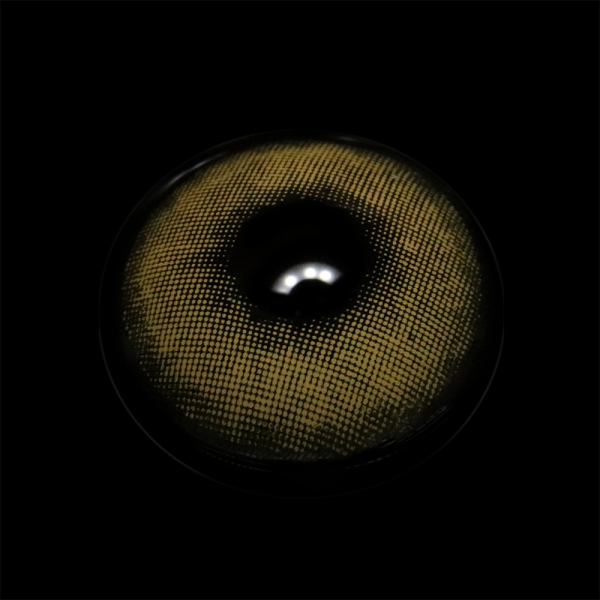 BR003900_1.png