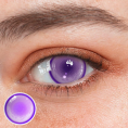 FAIRY_VIOLET_3.png