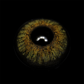 FC-28_Brown_1.png