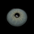 MI21-5_20_281_29_F52TUI.png