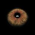 MI22-A_20_281_29_ypZ1Qc.png