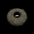 NMi-12_5B1_5D__Qi5yrP.png