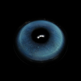 PUDDING_blue_1.png