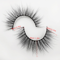 b64f096ed1a19bd11efcd4034d2bdf56.png