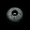 c79566097f219cfc58f408aca522dbce.png