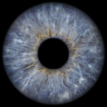 fe1ac451304d64507dbd5250d623b273_dee33f94-6e2f-48d1-a44a-582441008029.png